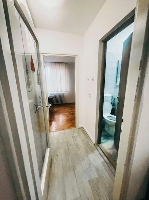 Ultracentral Big Flat Near The Opera Square P17 Timisoara Luaran gambar